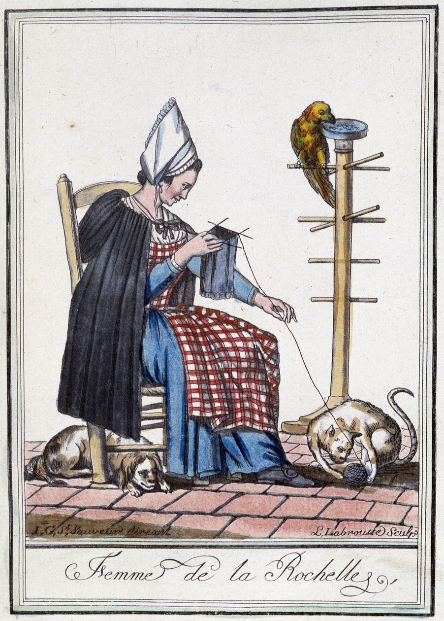 Kvinna från La Rochelle som stickar med en hund, en papegoja och en katt som leker med ullbollen. av L.F. Labrousse