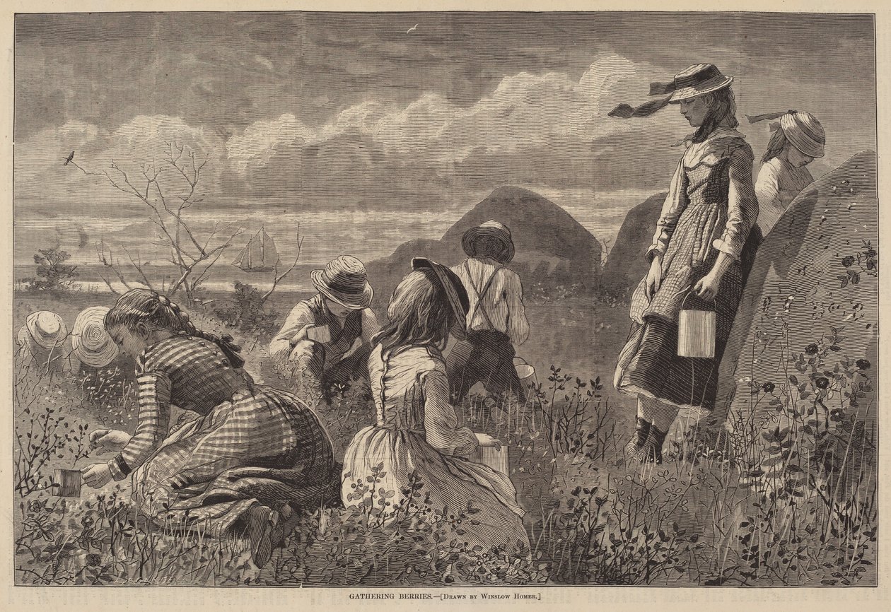 Samla bär av Lagarde after Winslow Homer