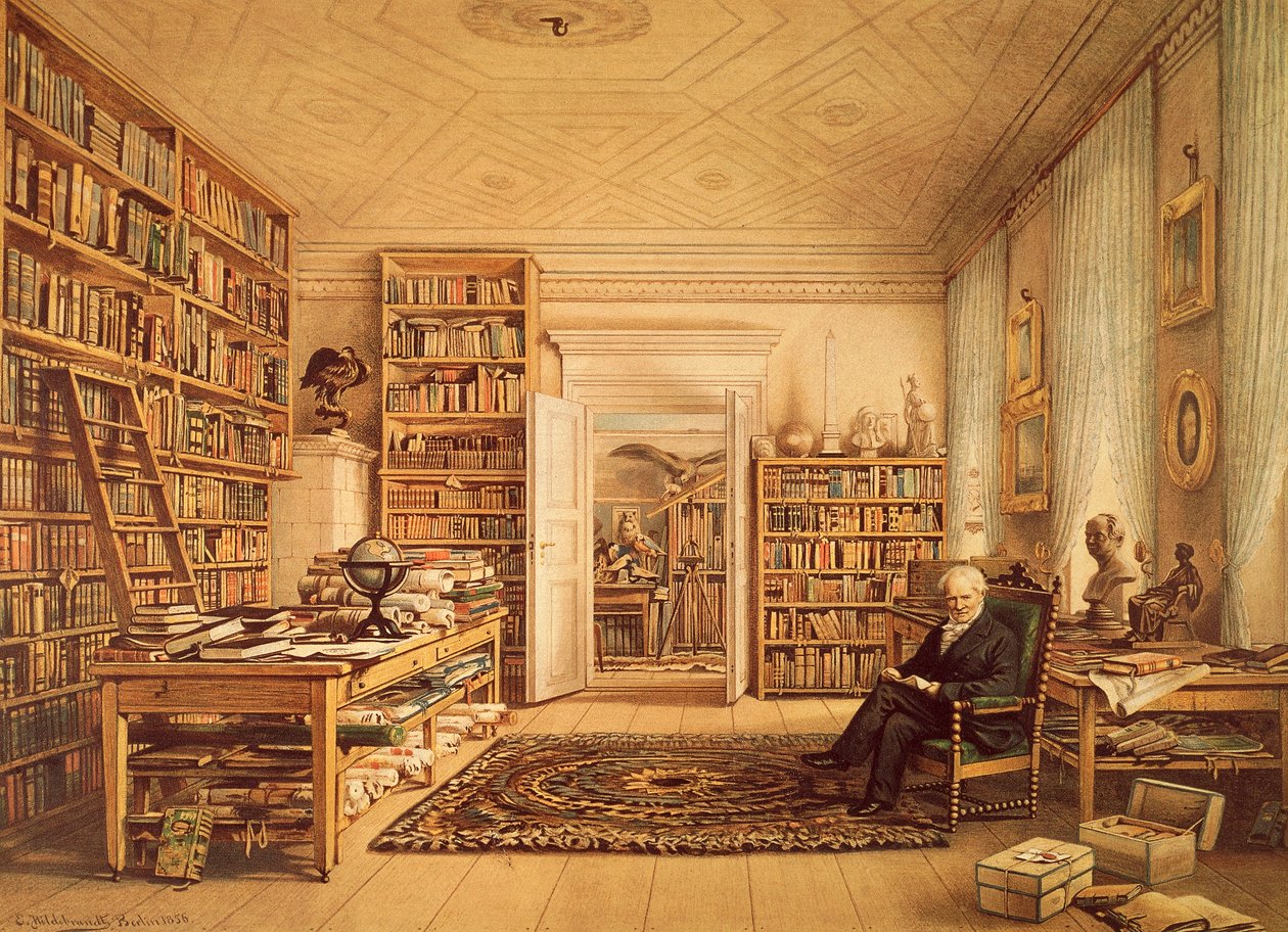 Porträtt av Alexander von Humboldt (Berlin av Amadeo (after) Modigliani