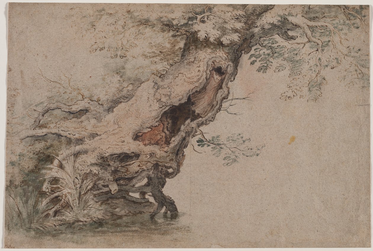 Hollow Tree, efter Roelant Savery av Lambert Doomer