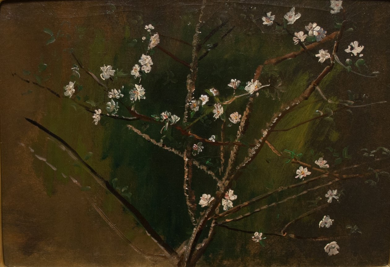  BlossomingnMagyar: Viragzasn av Laszlo Mednyanszky