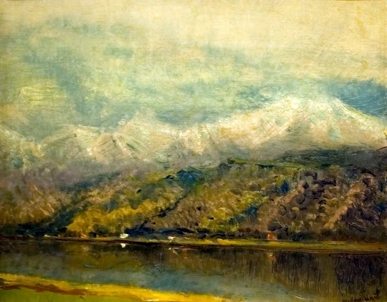  Csorba tonEnglish: Lake_Csorban av Laszlo Mednyanszky
