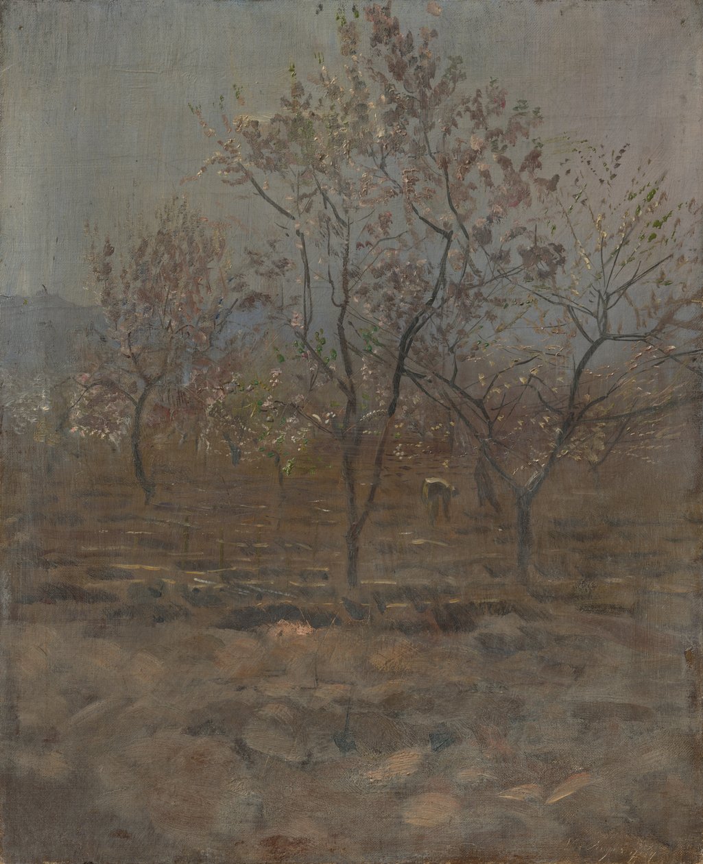 Trees in Blossom av Laszlo Mednyanszky