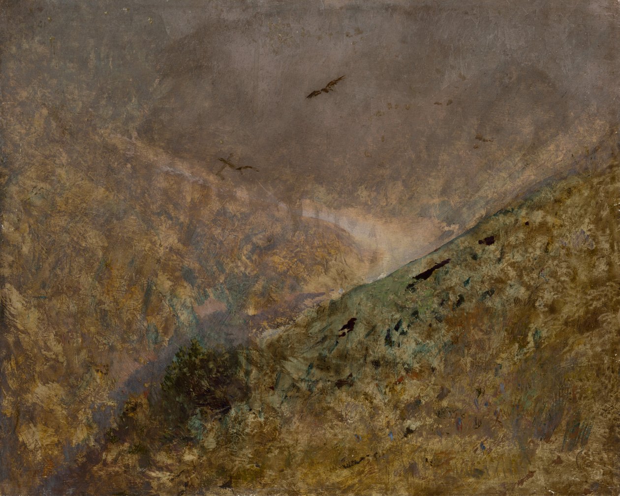 Valley with Birds of Prey av Laszlo Mednyanszky