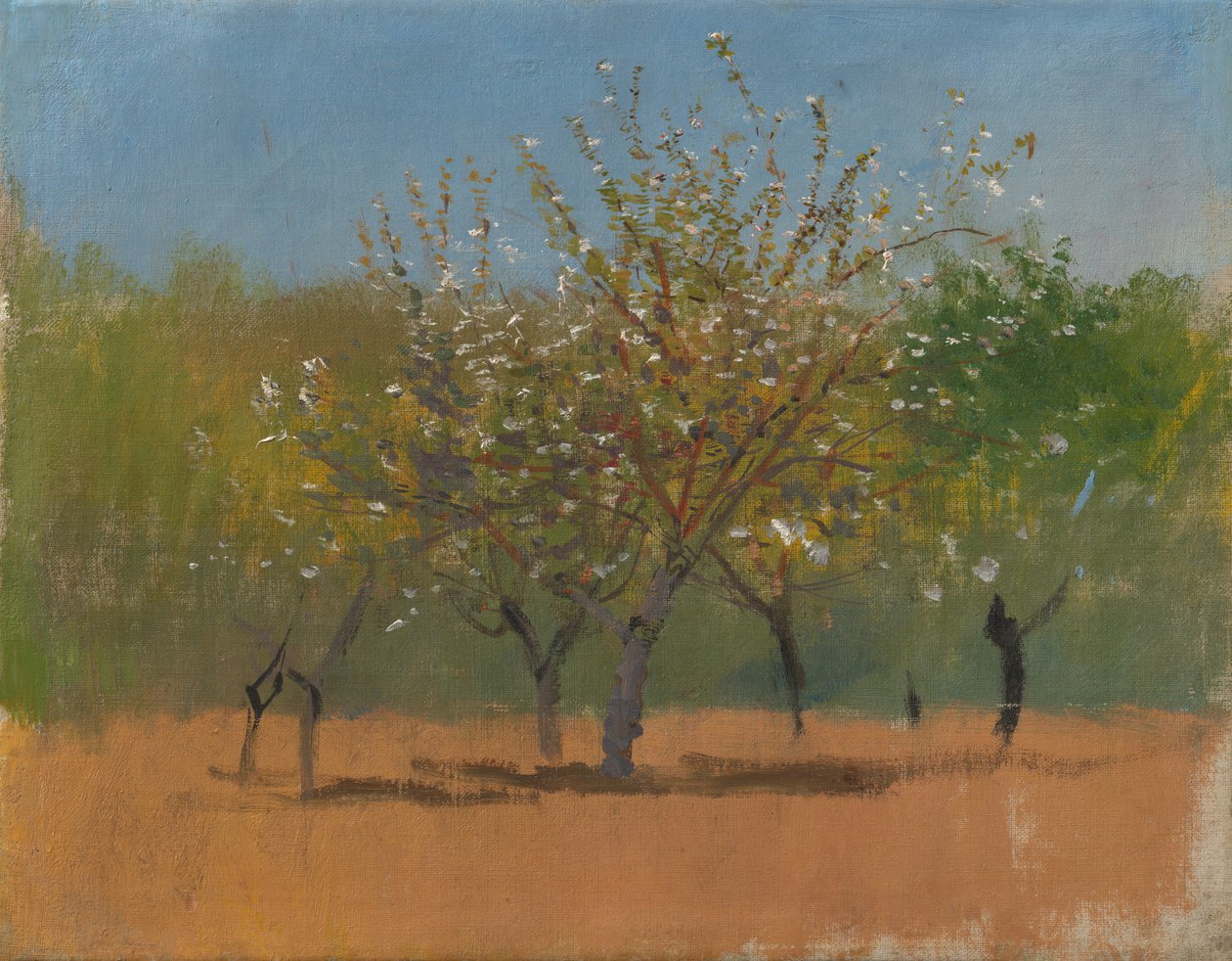 Trees in Blossom, ca 1880-90 (olja på duk) av Laszlo Mednyanszky