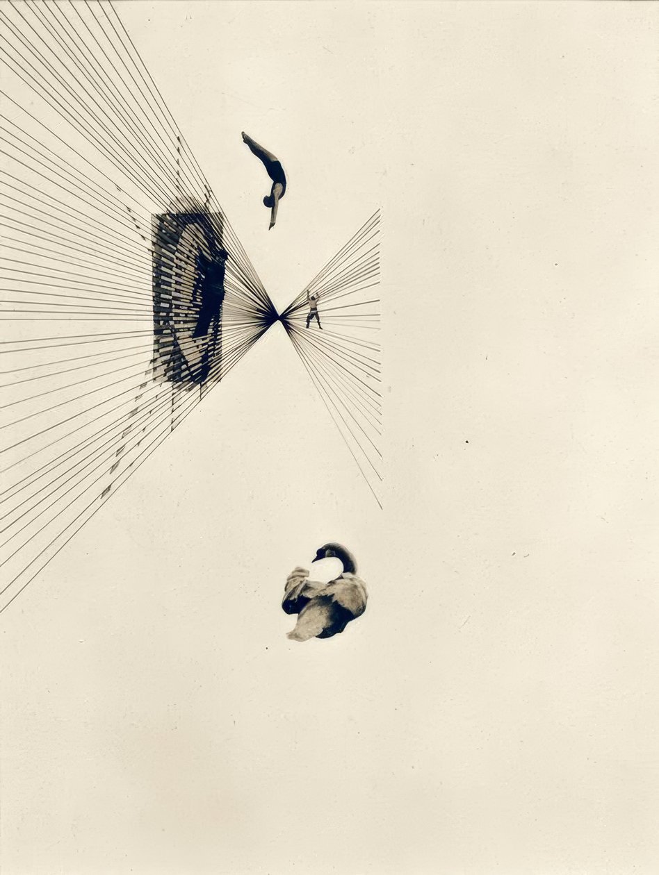 Leda och svanen av Laszlo Moholy Nagy