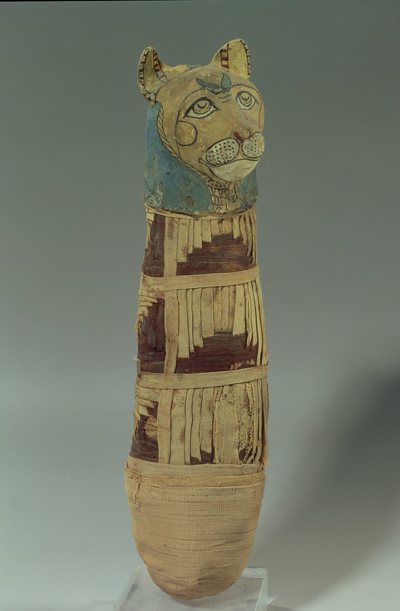 Mumifierad katt (stuckatur och målat linne) av Late Period Egyptian