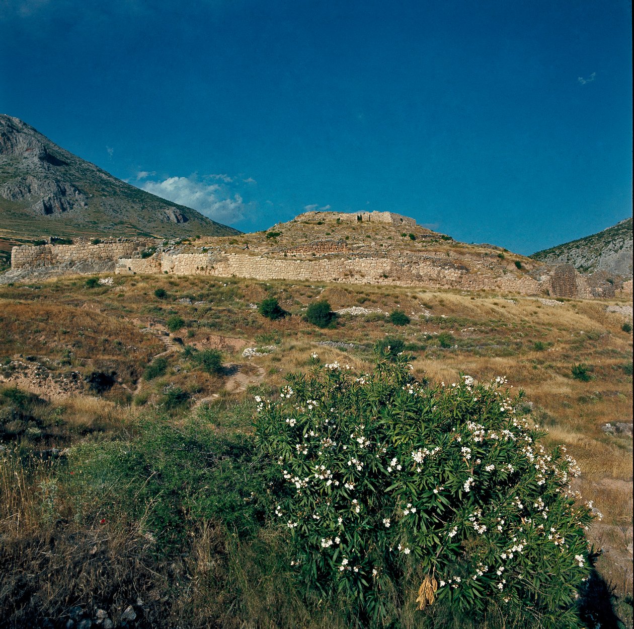 Utsikt över platsen för den antika staden Mykenes, på Peloponnesos (1500-1100 f.Kr.) Grekland av Late Helladic Period Mycenaean