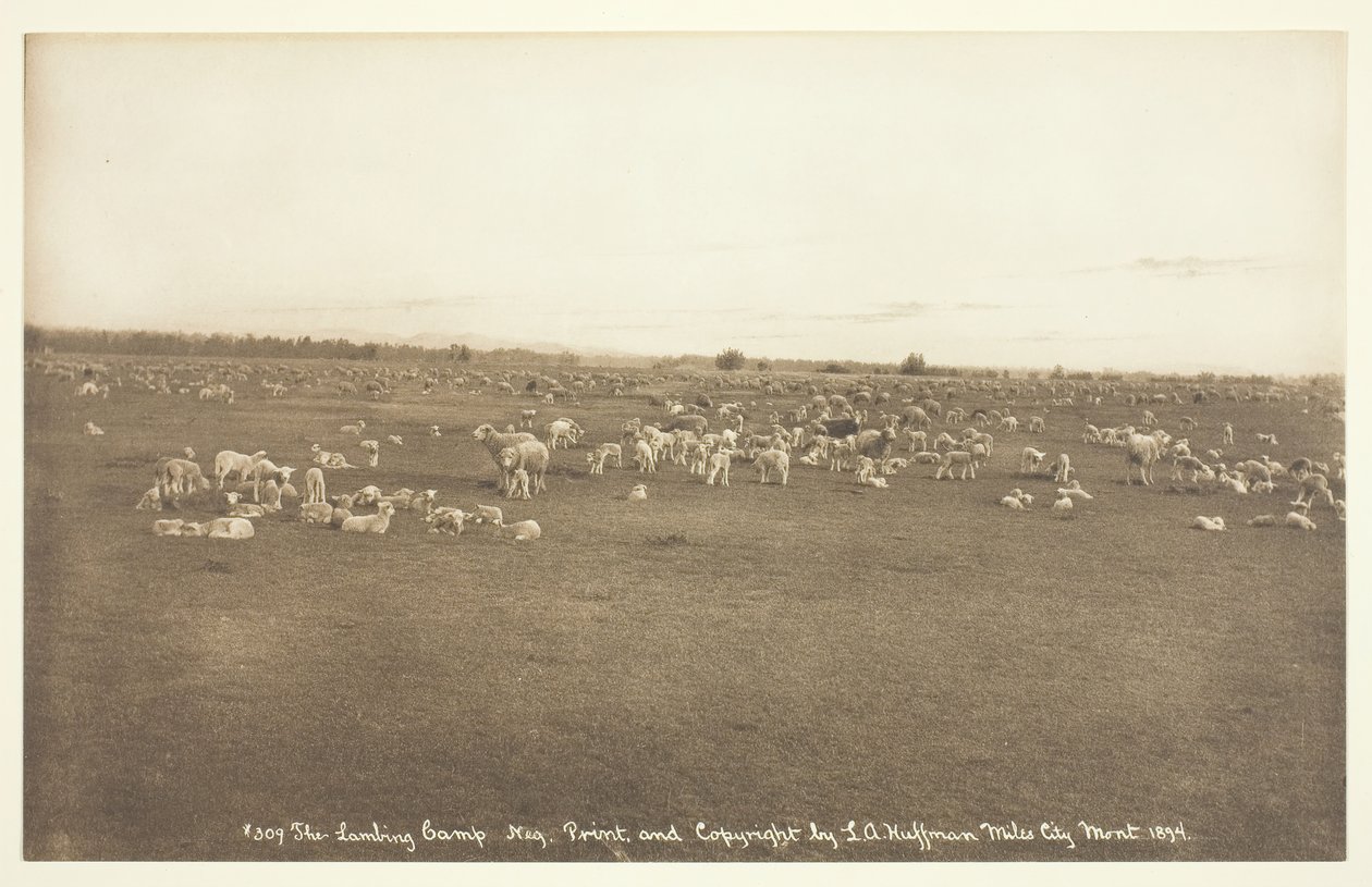 Lammningslägret, 1894. av Laton Alton Huffman