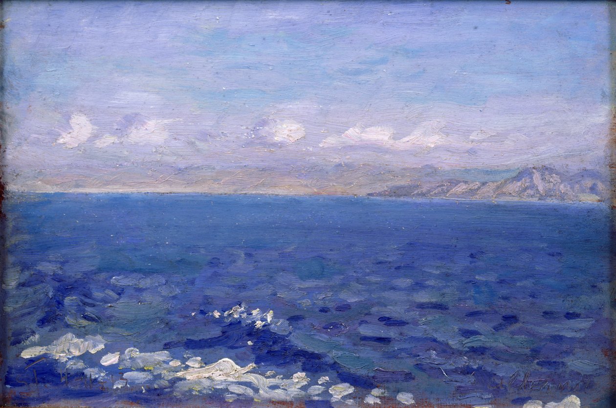 Albanska havet av Laurits Regner Tuxen