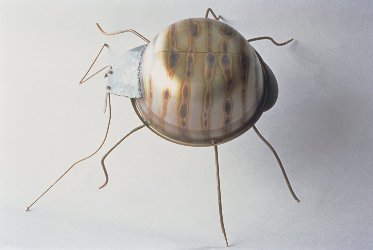 The Ground Beetle, 1995 (metall) av Lawrie Simonson