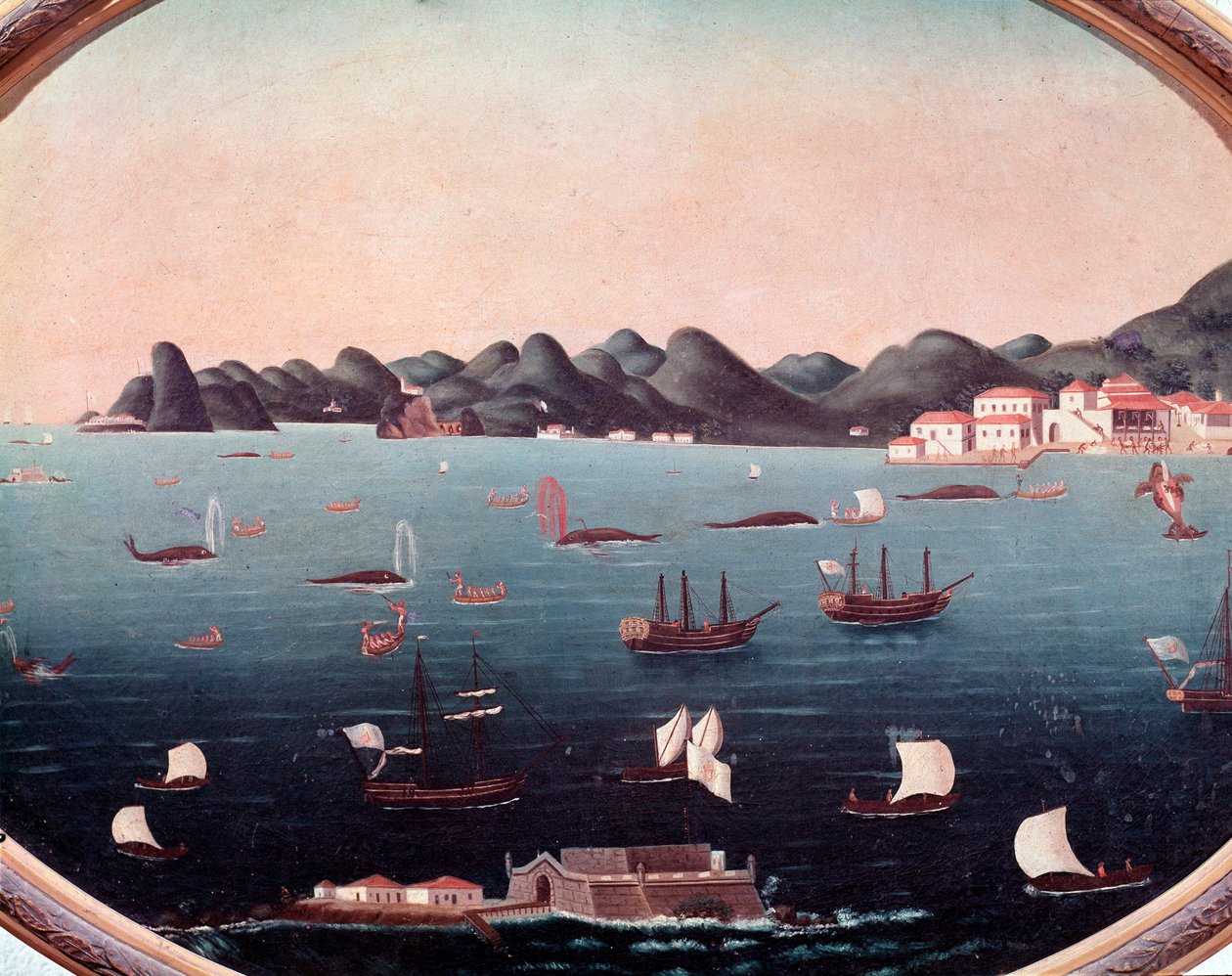Valfångst i Guanabarabukten i Brasilien Akvarell av Leandro Joaquim (1738-1798) 1700-talets Rio de Janeiro, National Historic Museum av Leandro Joachim