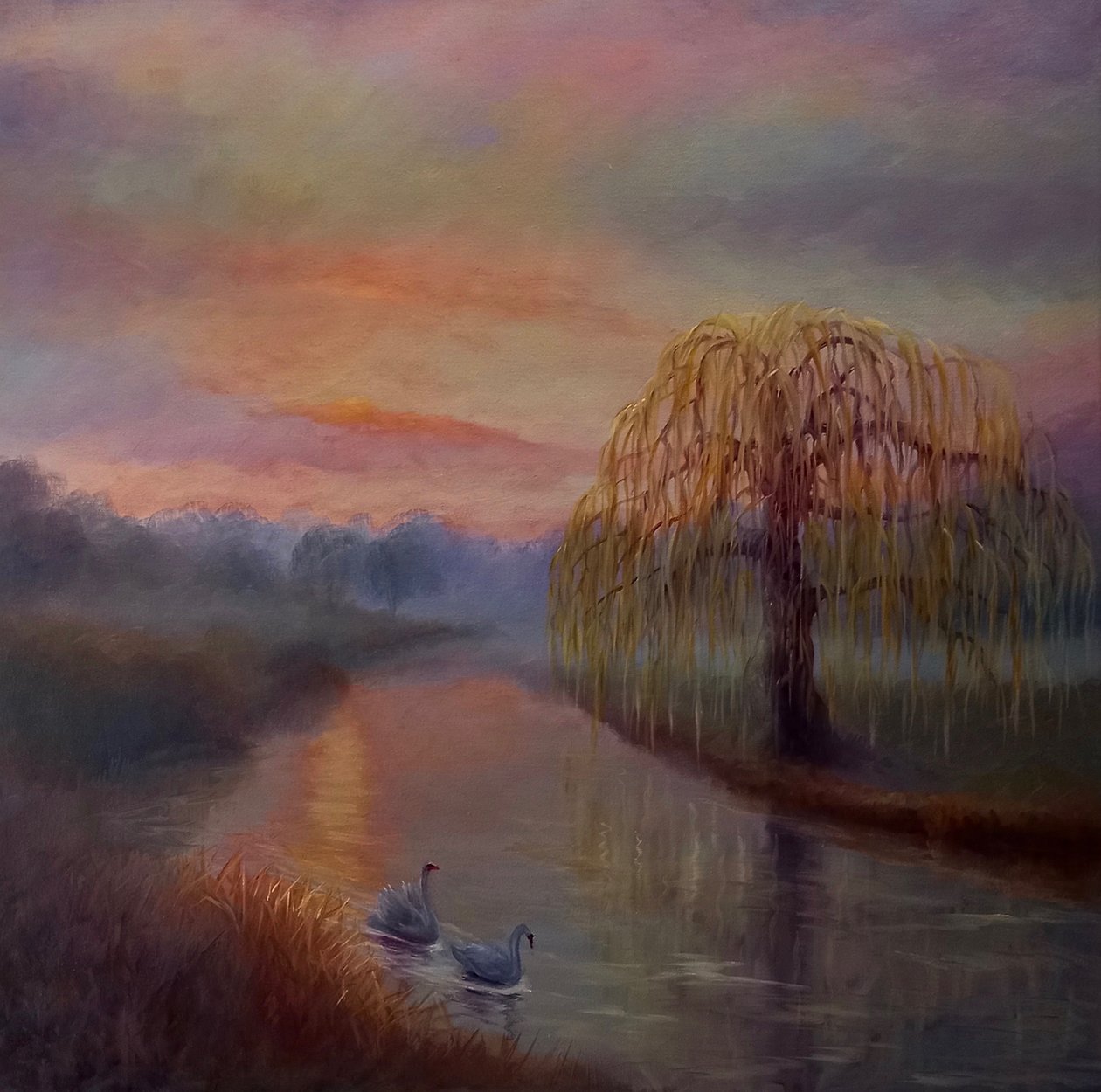 Misty Dawn, Bushy Park, 2024 av Lee Campbell