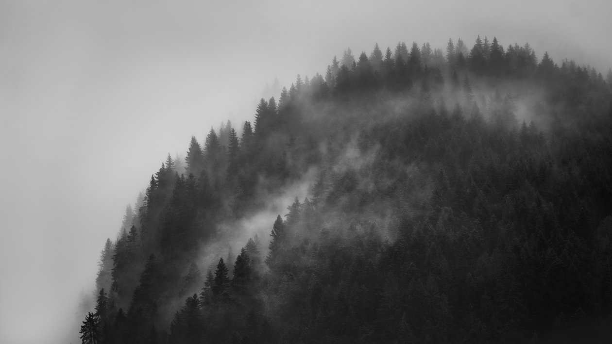 Greenwitch Way, 2022 (foto) av Lee Cooper