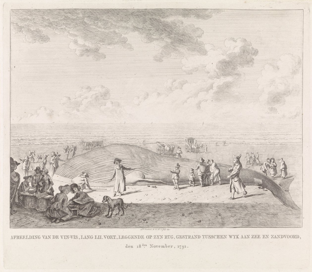 Finval spolades upp på stranden vid Zandvoort Bild av Vin-Vis (...) strandsatt mellan Wyk aan Zee och Zandvoord, 18 november 1791 (titel på objekt) av Leendert Overbeek