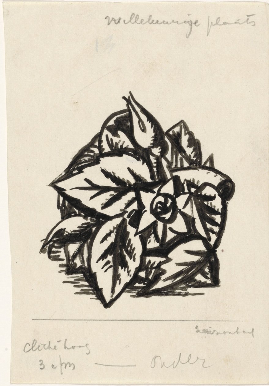 Blommor av Leo Gestel