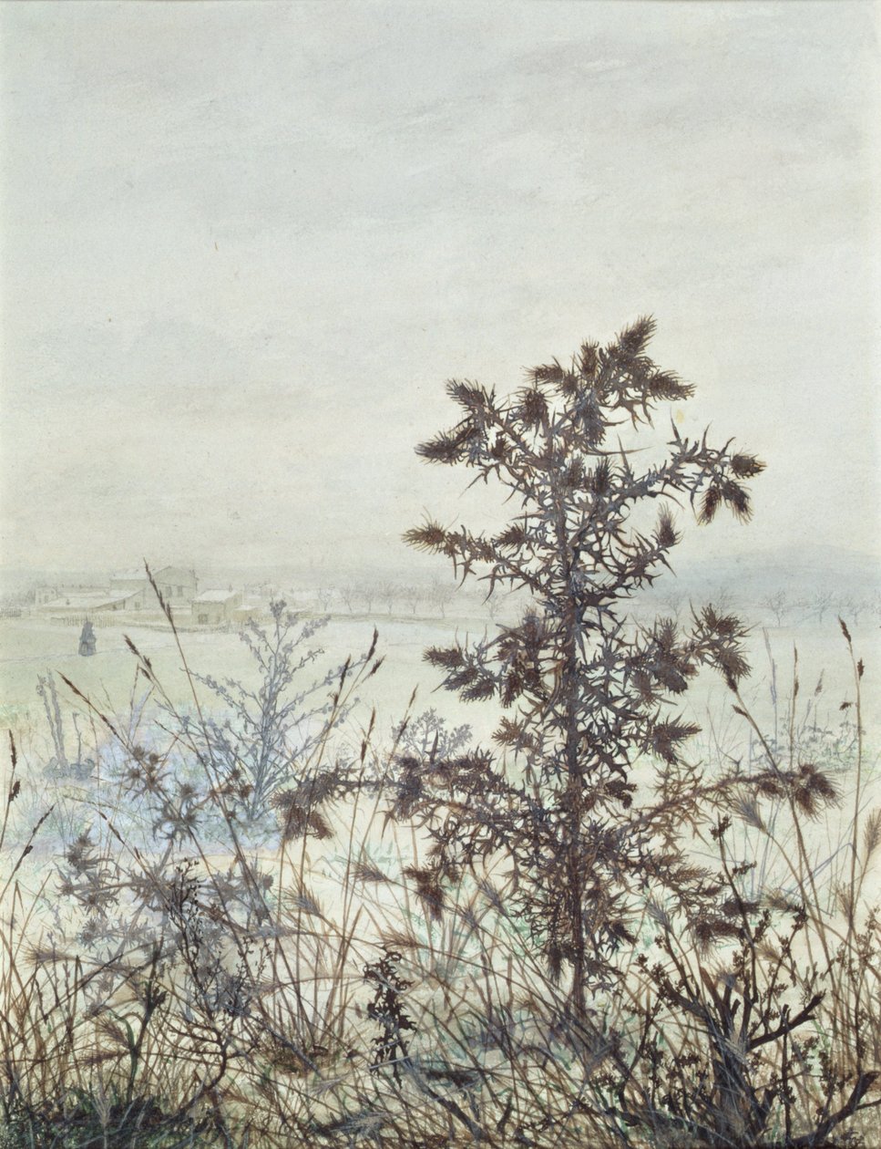 Tistlar och ogräs, 1864 (wc, bodycolour, penna och bläck samt blyerts på papper) av Léon Bonvin