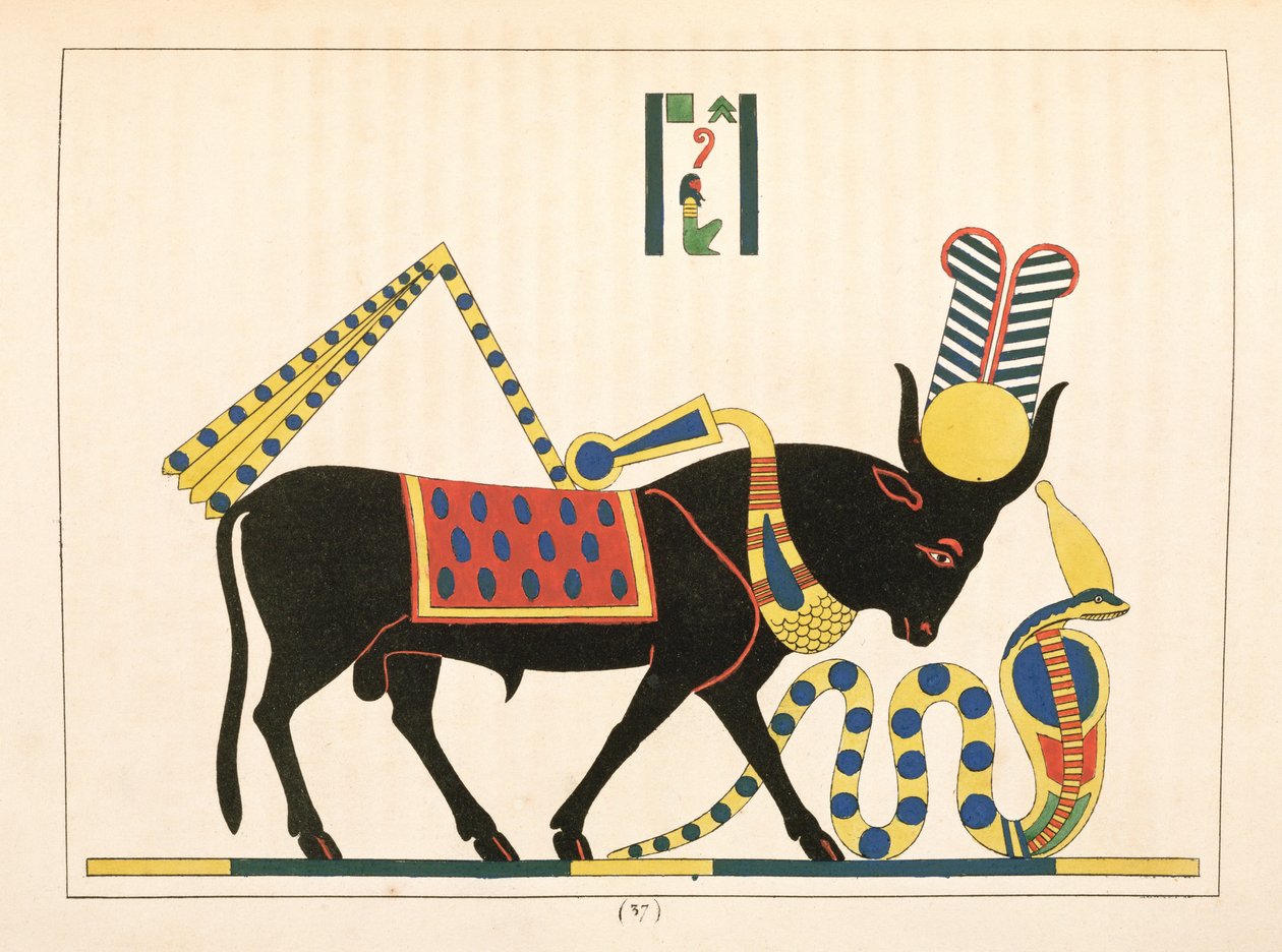 Apis-tjuren, illustration från Egyptian Pantheon: samling mytologiska karaktärer från det antika Egypten av Jean-Francois Champollion, publicerad 1823-25 av Leon Jean Joseph Dubois