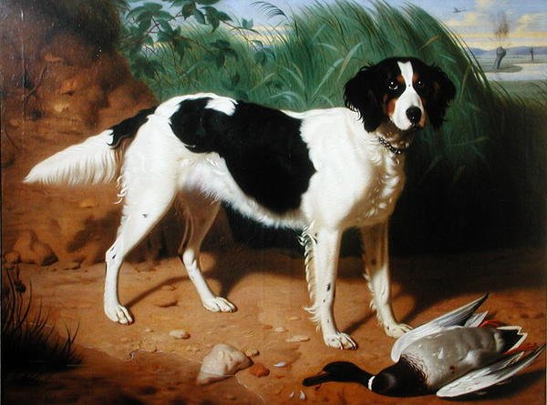 Porträtt av en hund (olja på duk) av Leon Viardot