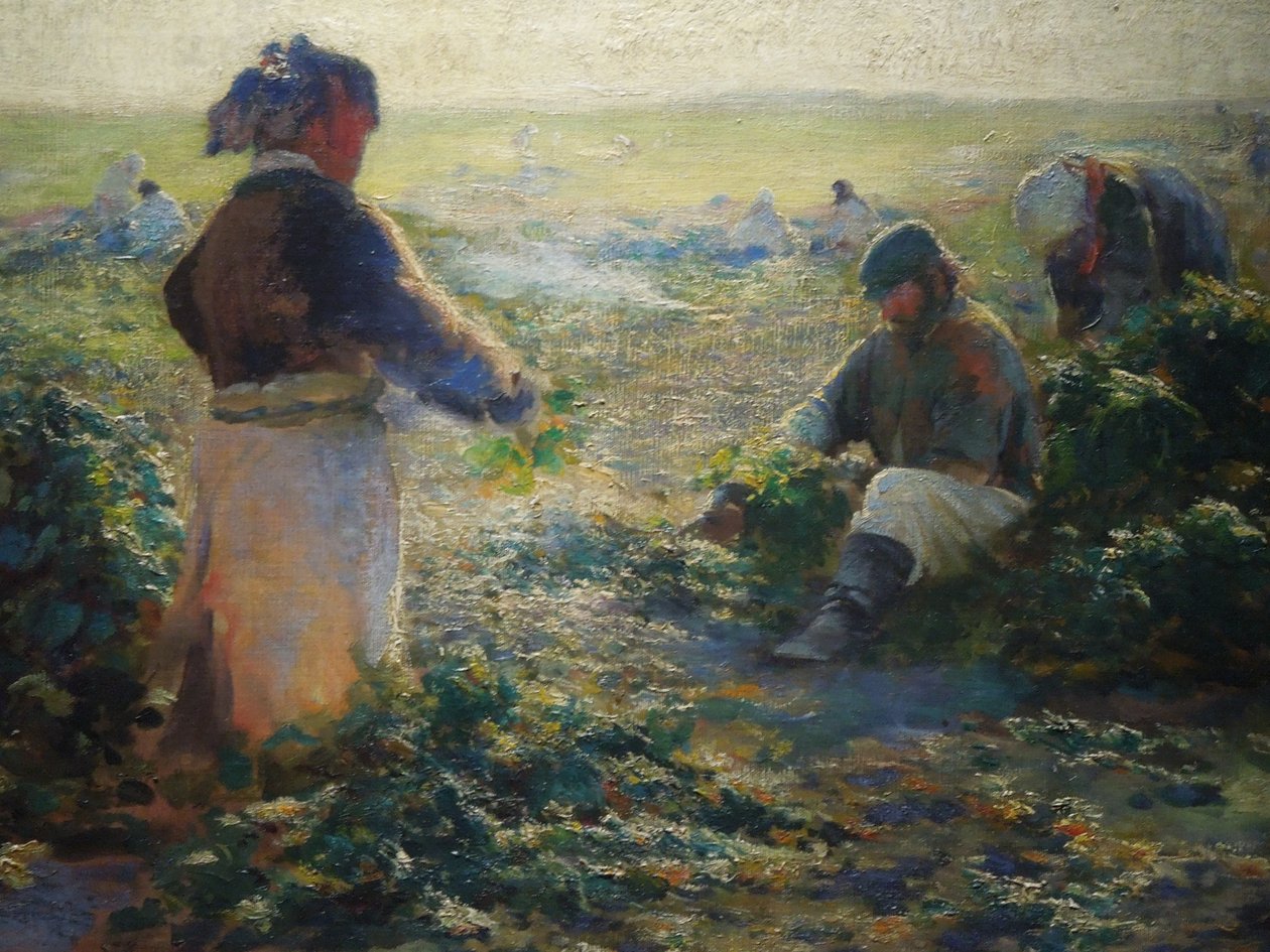 Gräva rödbetor I av Leon Wyczółkowski