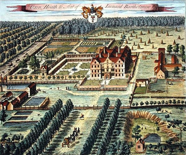 Oxen Heath graverad av Johannes Kip (c.1652-1722) (gravyr) av Leonard (after) Knyff