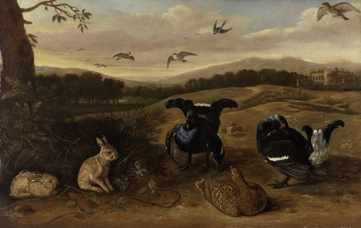 Svart vilt, kaniner och svalor i en park, ca 1700 (olja på duk) av Leonard Knyff
