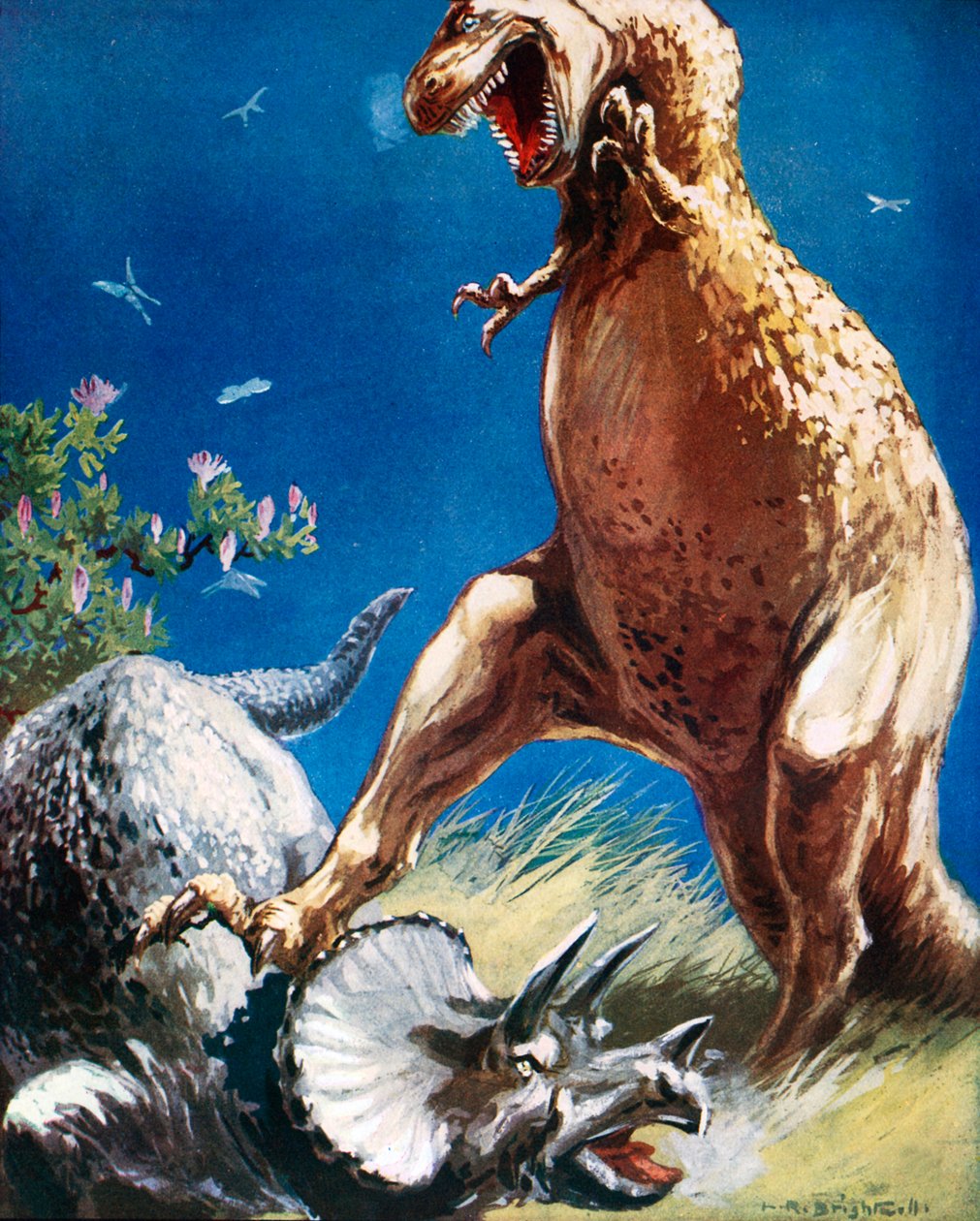  av Leonard Robert Brightwell