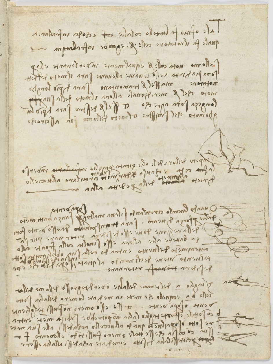 Fåglars flygkod, c. 1505-06, pappersmanuskript, cc. 18, ark 10 recto av Leonardo da Vinci