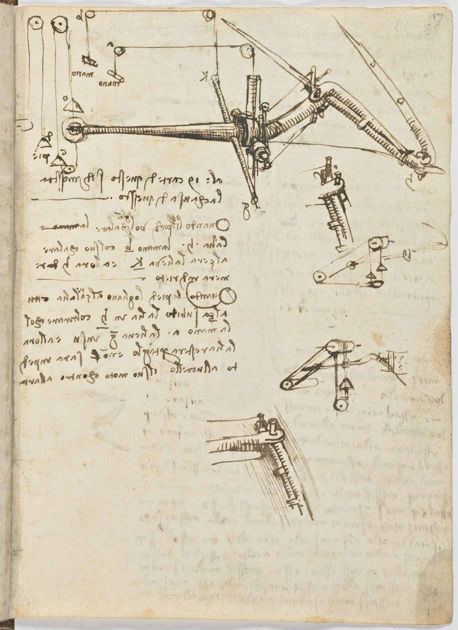 Fåglars flygkod, c. 1505-06, pappersmanuskript, cc. 18, blad 17 recto av Leonardo da Vinci