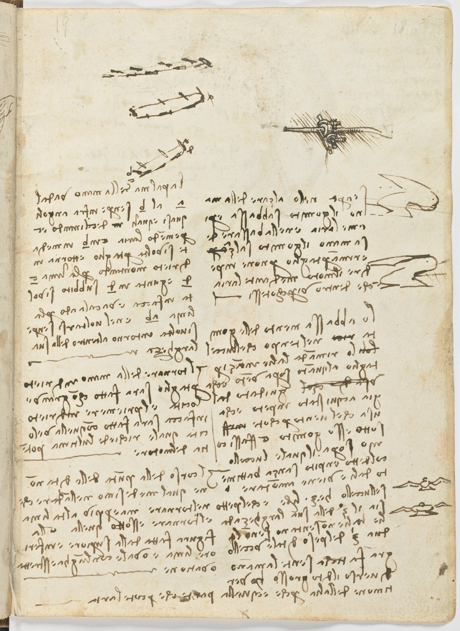 Fåglars flygkod, c. 1505-06, pappersmanuskript, cc. 18, blad 18 recto av Leonardo da Vinci
