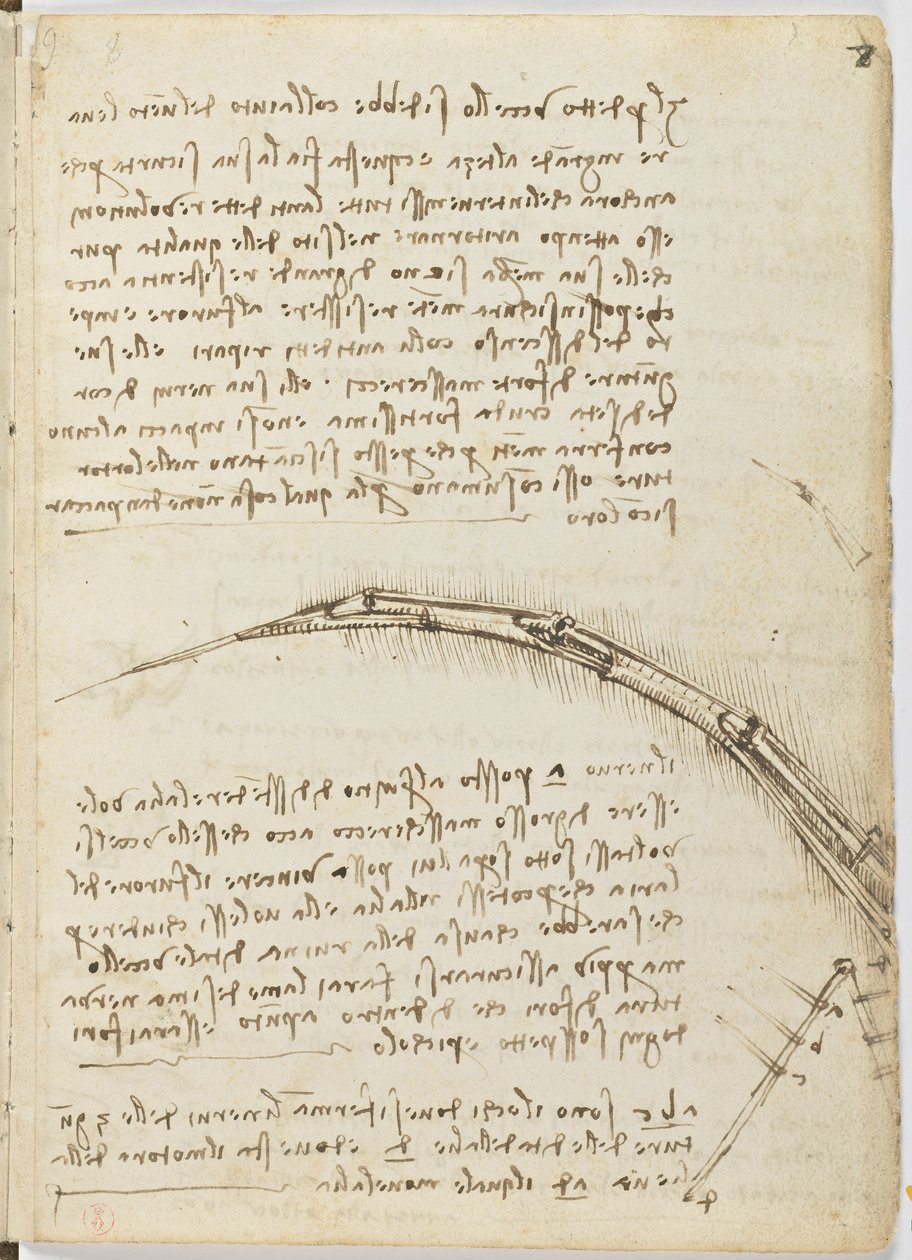 Fåglarnas flygkod, ca 1505-06, pappersmanuskript, cc. 18, blad 7 recto av Leonardo da Vinci