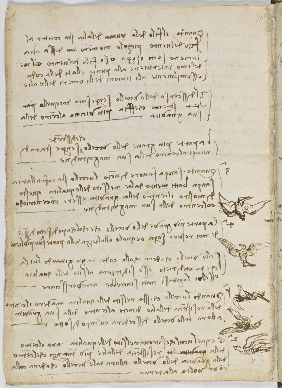 Fåglarnas flygkod, ca 1505-06, pappersmanuskript, cc. 18, blad 7 verso av Leonardo da Vinci