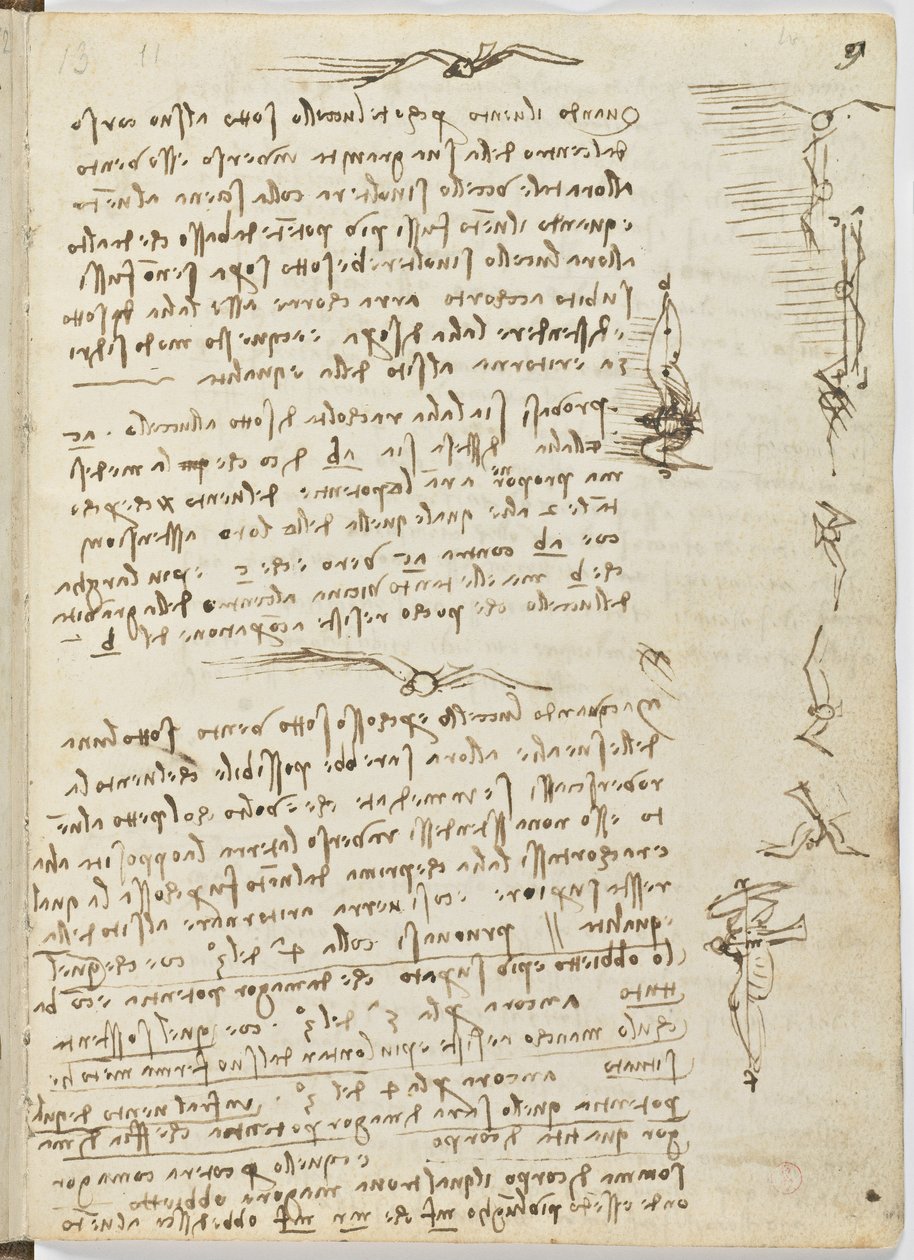 Fåglars flygkod, c. 1505-06, pappersmanuskript, cc. 18, blad 9 recto av Leonardo da Vinci