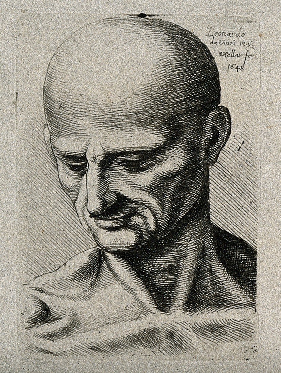 Bust of a lean male, looking down to his lower right av Leonardo da Vinci