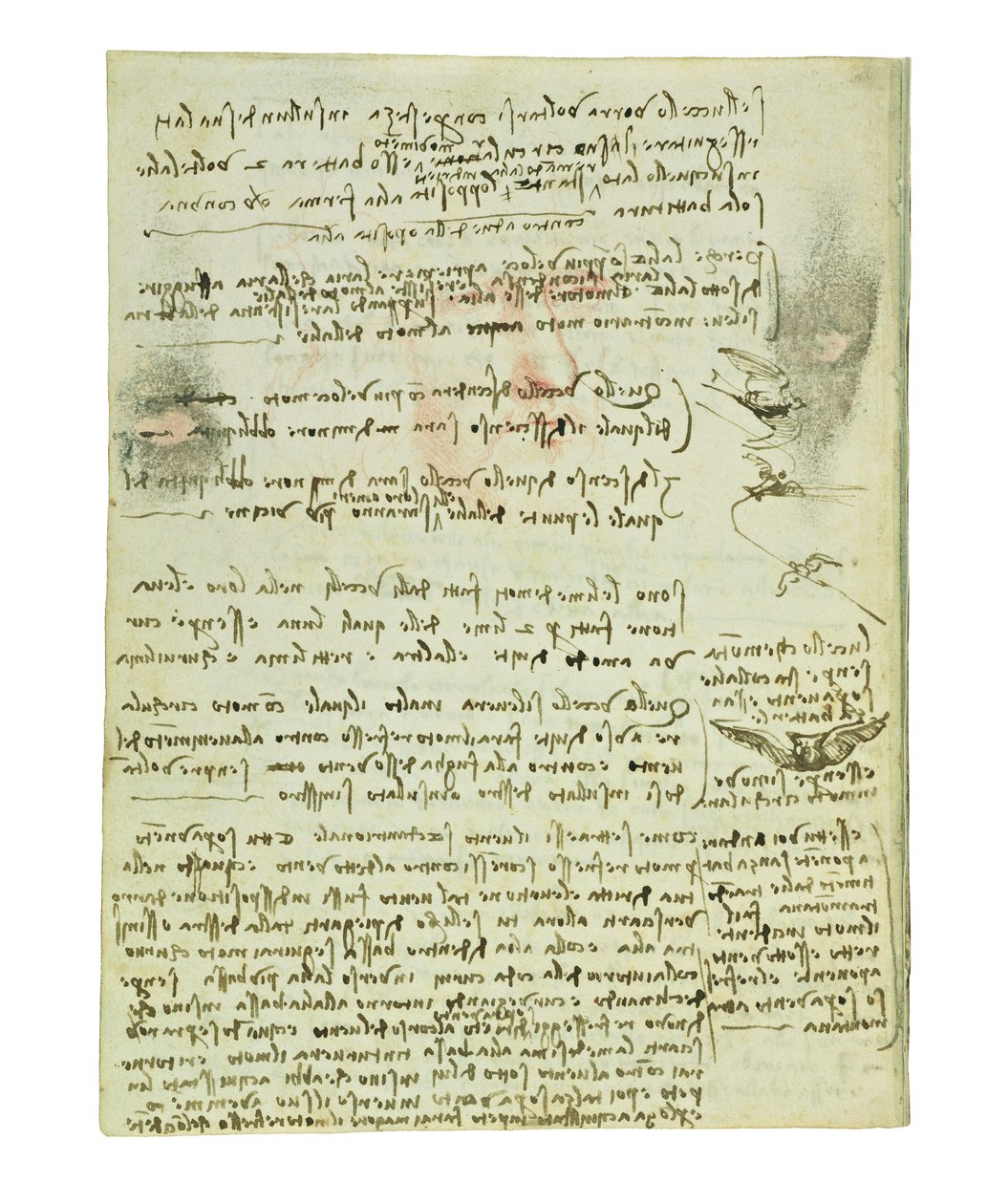 Codex om fåglarnas flygning, Folio 10 verso av Leonardo da Vinci