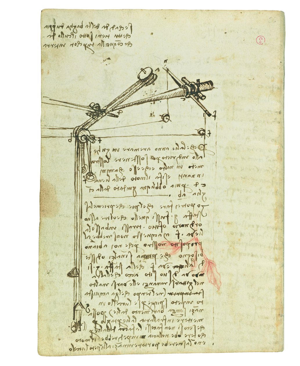 Codex om fåglarnas flygning, Folio 16 verso av Leonardo da Vinci