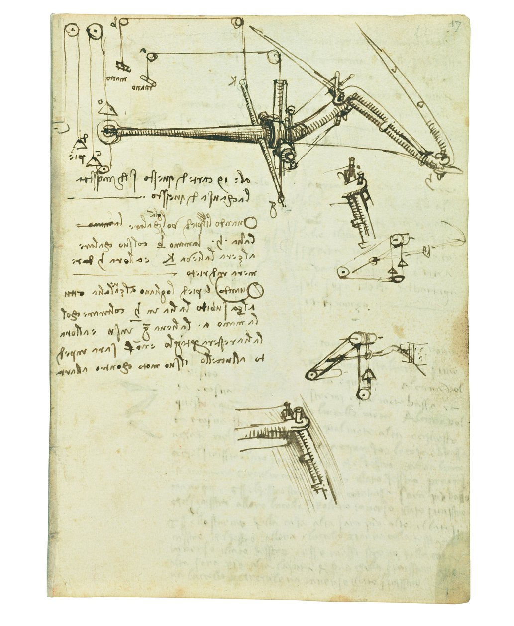 Codex om fåglarnas flykt, Folio 17 recto av Leonardo da Vinci
