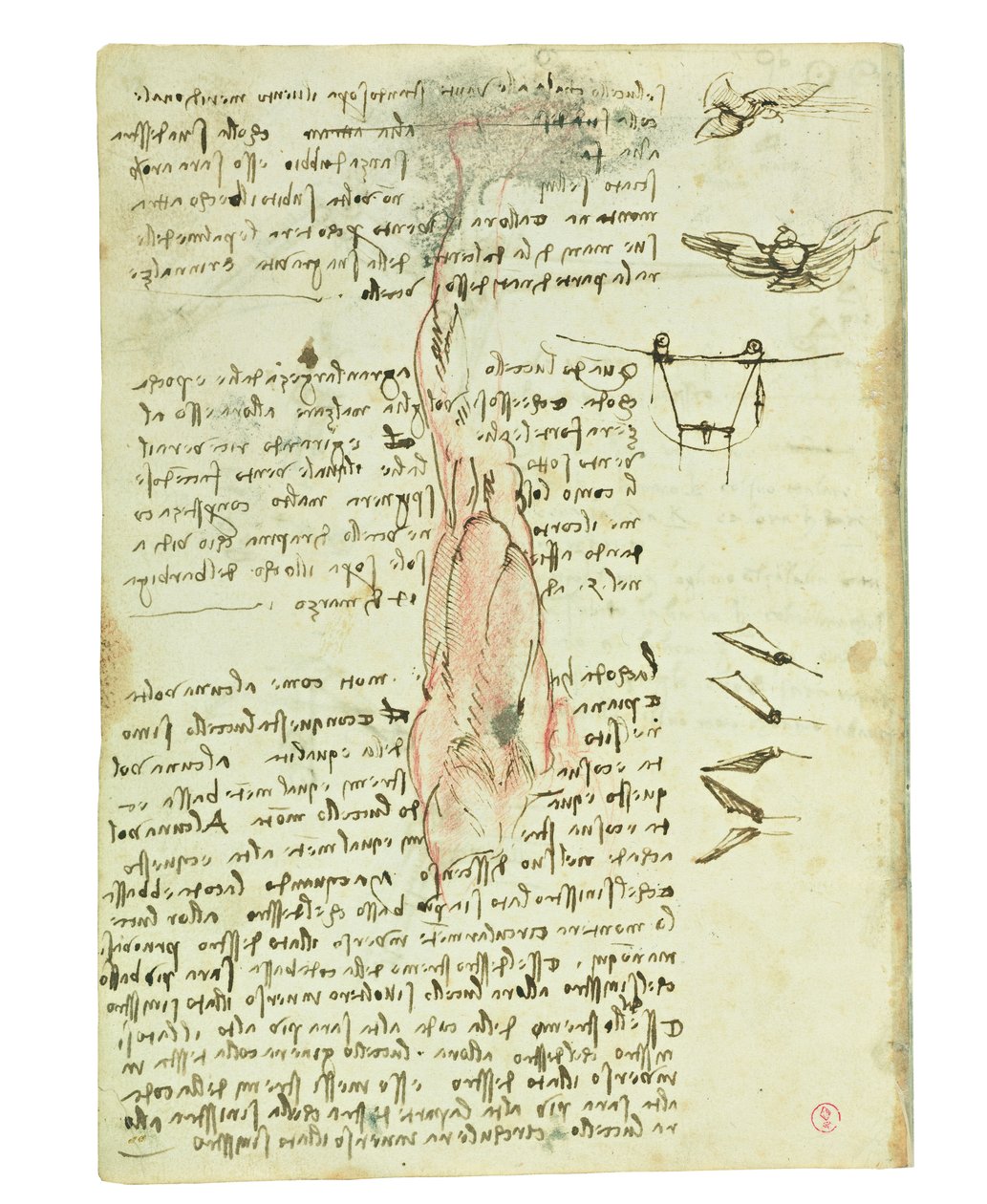 Codex om fåglarnas flykt, Folio 17 verso av Leonardo da Vinci