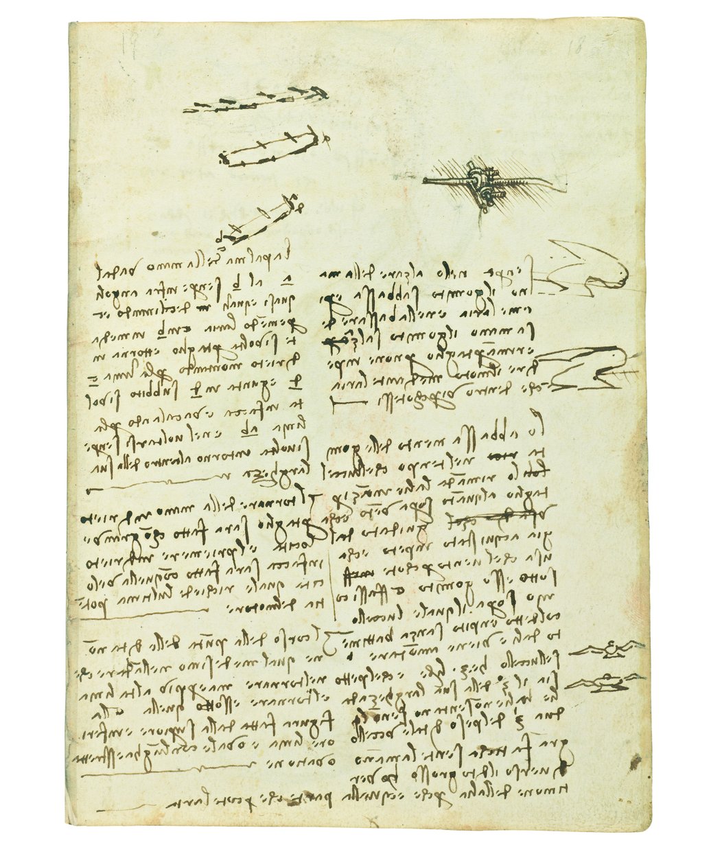 Codex om fåglarnas flykt, Folio 18 recto av Leonardo da Vinci