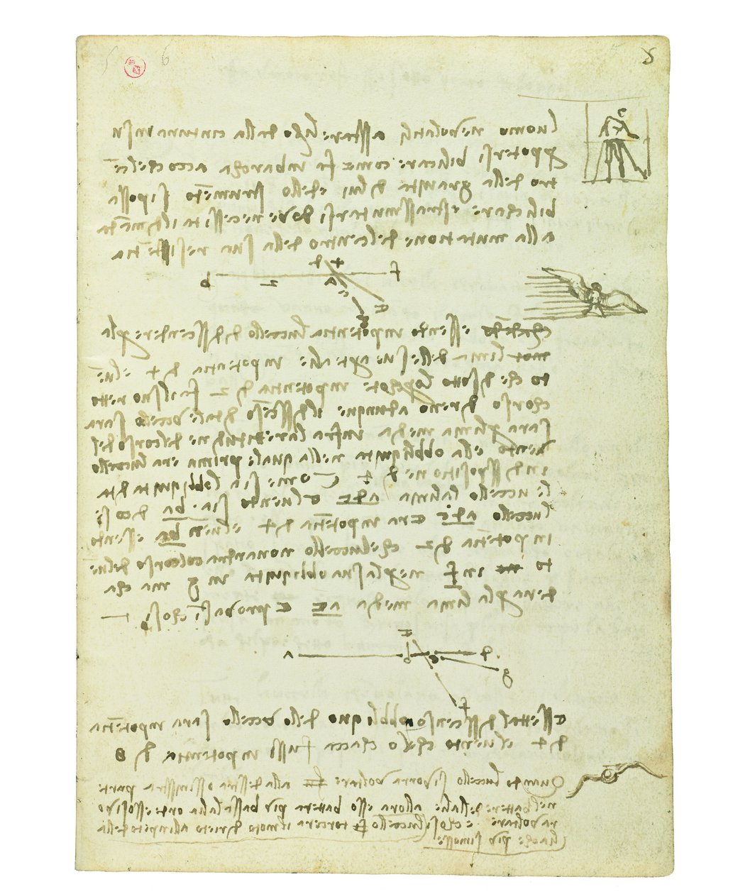 Codex om fåglarnas flykt, Folio 5 recto av Leonardo da Vinci