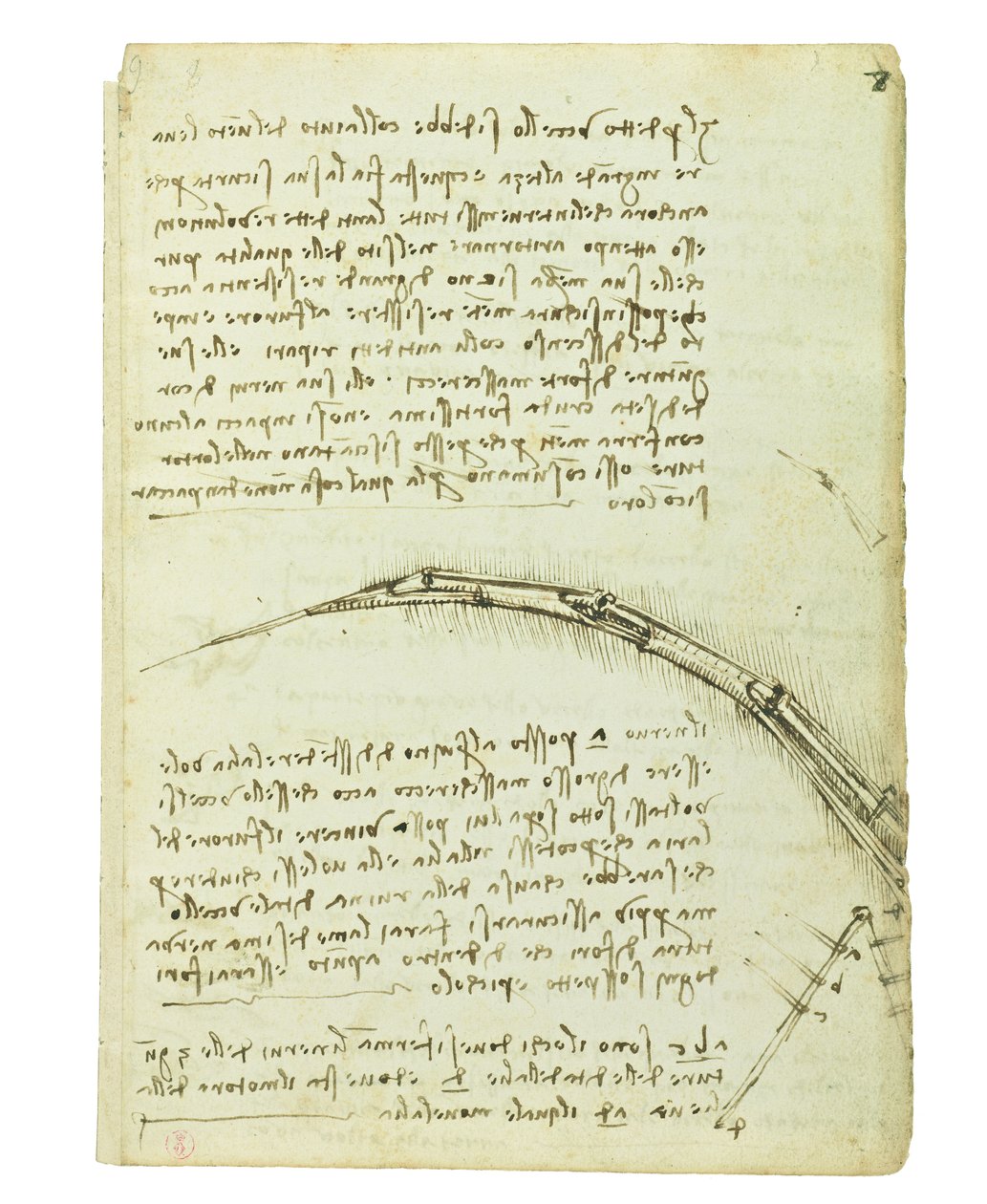 Codex om fåglarnas flykt, Folio 7 recto av Leonardo da Vinci