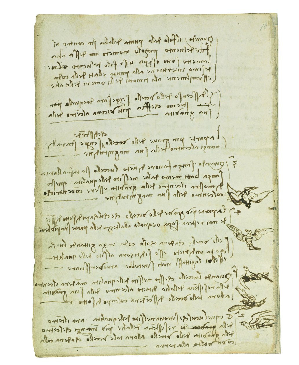 Codex om fåglarnas flygning, Folio 7 verso av Leonardo da Vinci
