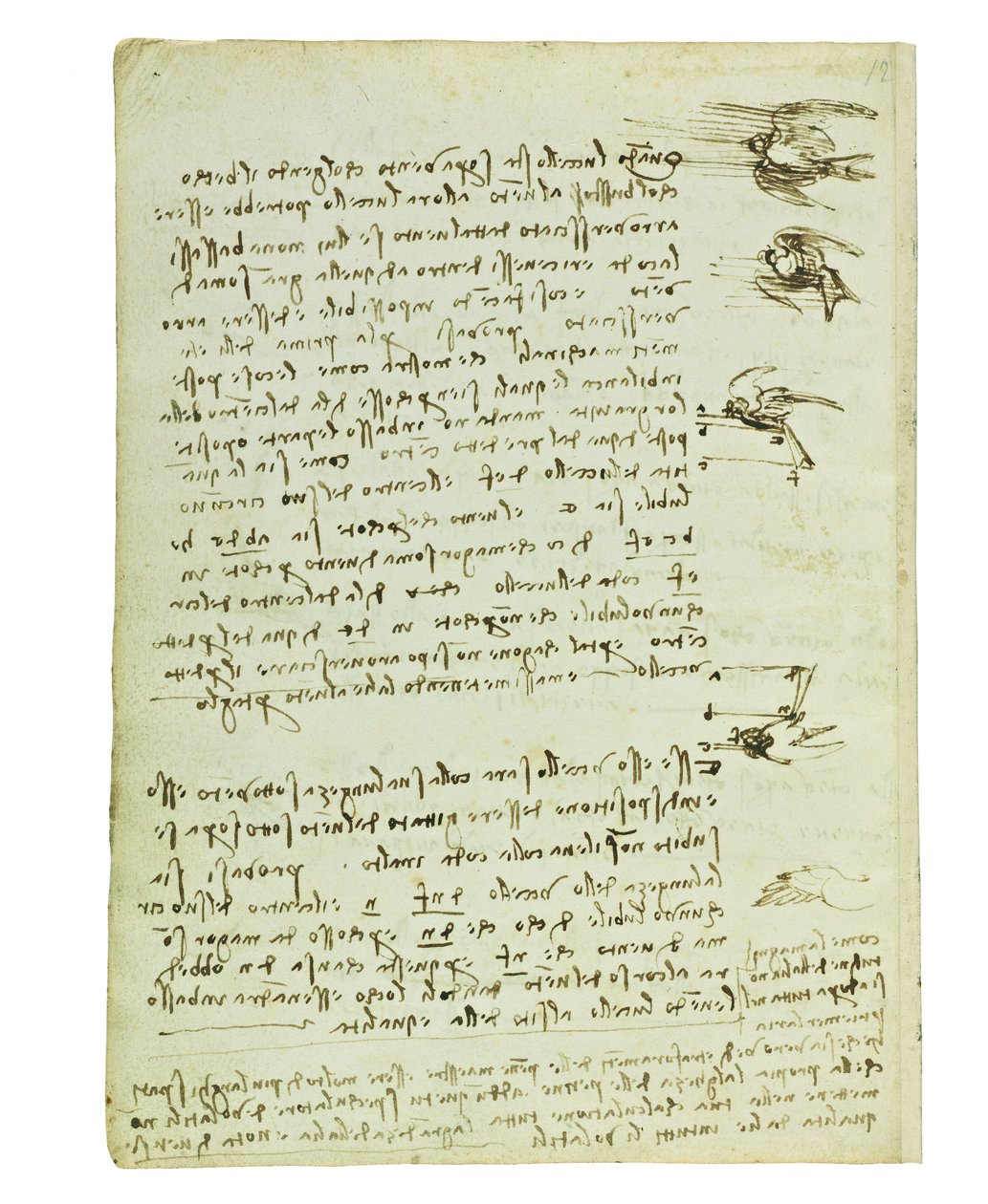 Codex om fåglarnas flygning, Folio 8 verso av Leonardo da Vinci
