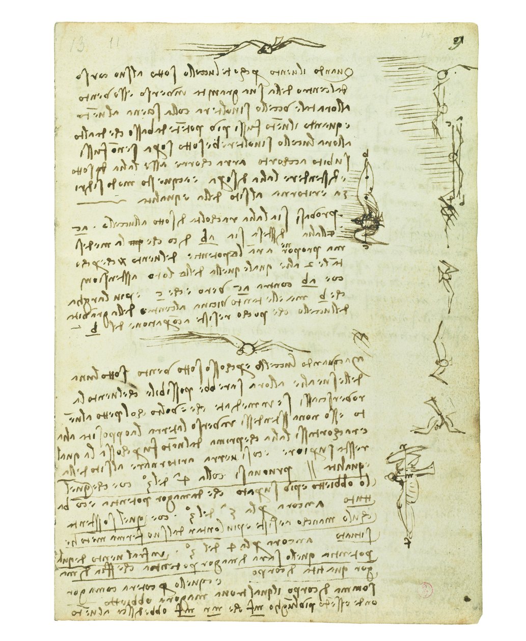 Codex om fåglarnas flykt, Folio 9 recto av Leonardo da Vinci