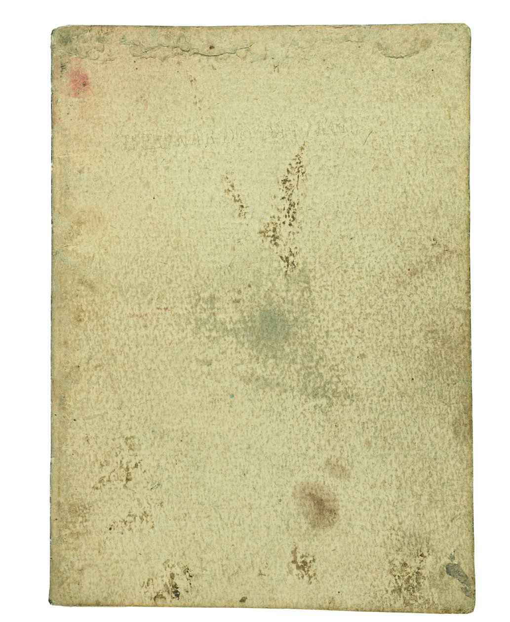 Codex om fåglarnas flykt, slutdokument I av Leonardo da Vinci