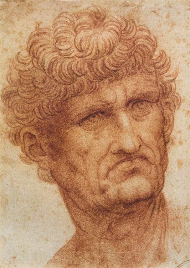 Huvudet på en man av Leonardo da Vinci