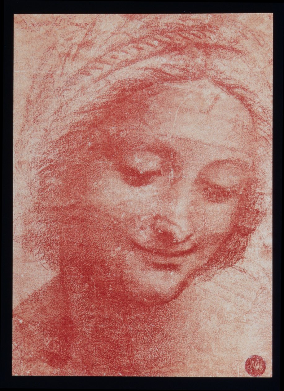 Head of a Woman (kol på papper) av Leonardo da Vinci