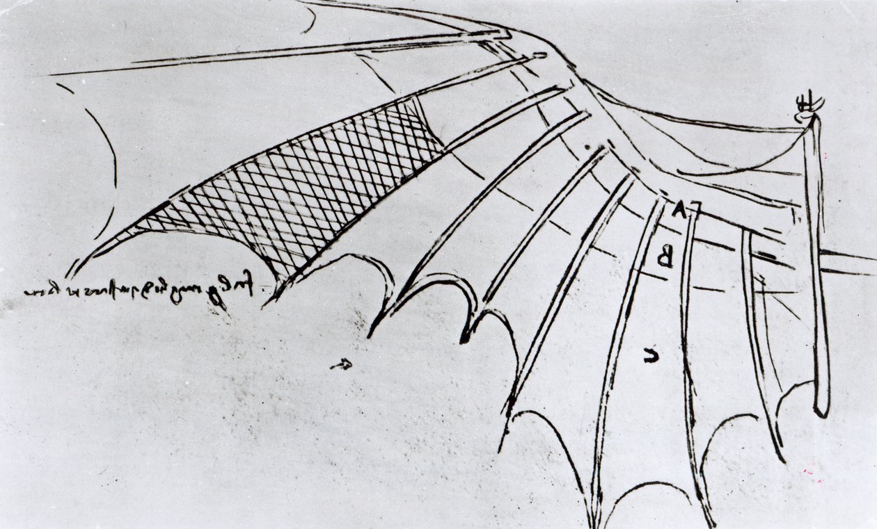M S B 2173 fol. 74r Studier av vingartikulation, 1487-90 av Leonardo da Vinci