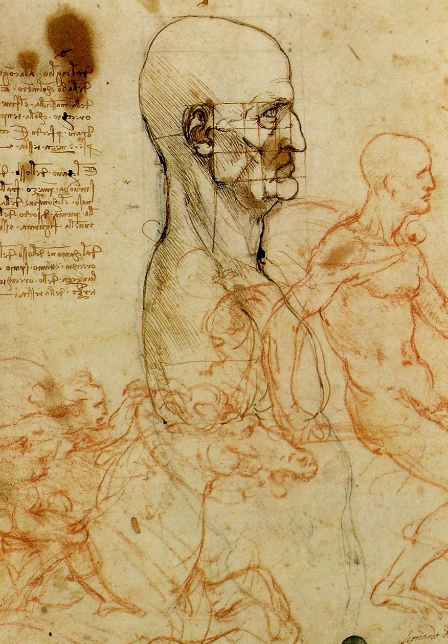 Männerkopfstudie av Leonardo da Vinci