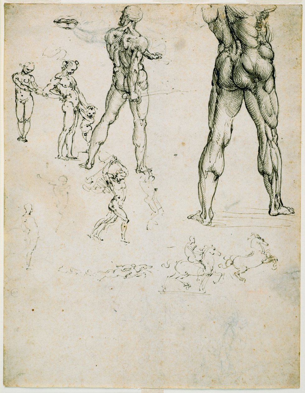 Nudi, för "Slaget vid Anghiari" och andra figurstudier, ca. 1505 (penna och brunt bläck, spår av kol på papper) av Leonardo da Vinci